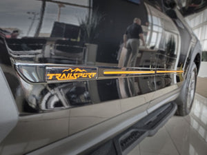 Honda Passport (SUV) | 2019-2025 | COSMIC | #HOPA19XSC