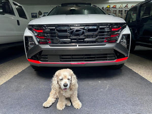 Hyundai Tucson (SUV) | 2025-2025 | Exterior Trim | #HYTU25EXT