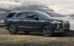 Hyundai Palisade (SUV) | 2020-2025 | Rocker (2Tone) | #HYPA23RKI