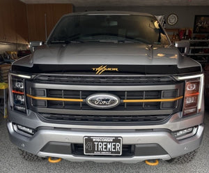 Ford F-150 (Regular Cab) | 2021-2025 | Hood Deflector | #FOF121DE1