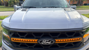 Ford F-150 (Regular Cab) | 2021-2026 | Hood Deflector | #FOF121DE1