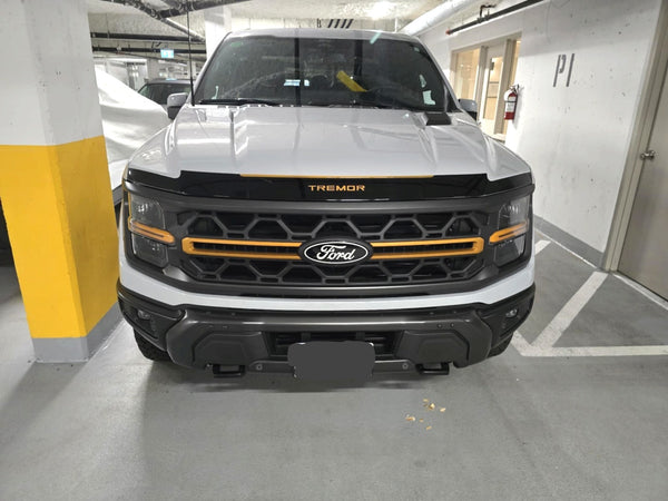 Ford F-150 (Regular Cab) | 2021-2025 | Hood Deflector | #FOF121D1i