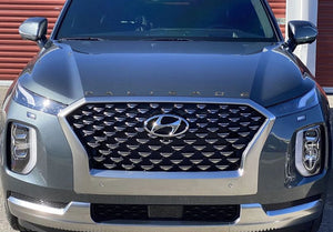 Hyundai Palisade (SUV) | 2020-2024 | Hood Logo | #HYPA20LOG