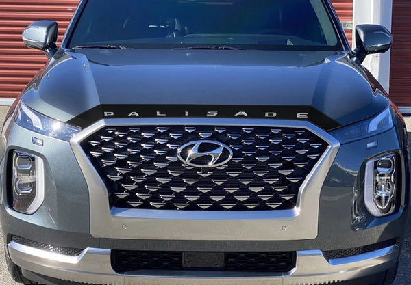 Hyundai Palisade (SUV) | 2020-2025 | Hood Deflector w/logo | #HYPA20DEL